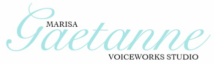 VoiceWorks Studio